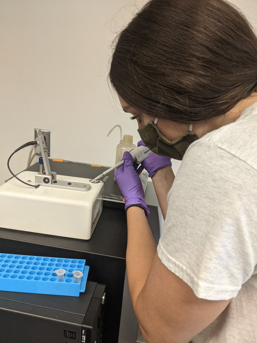 Loras College Chemistry tweet media