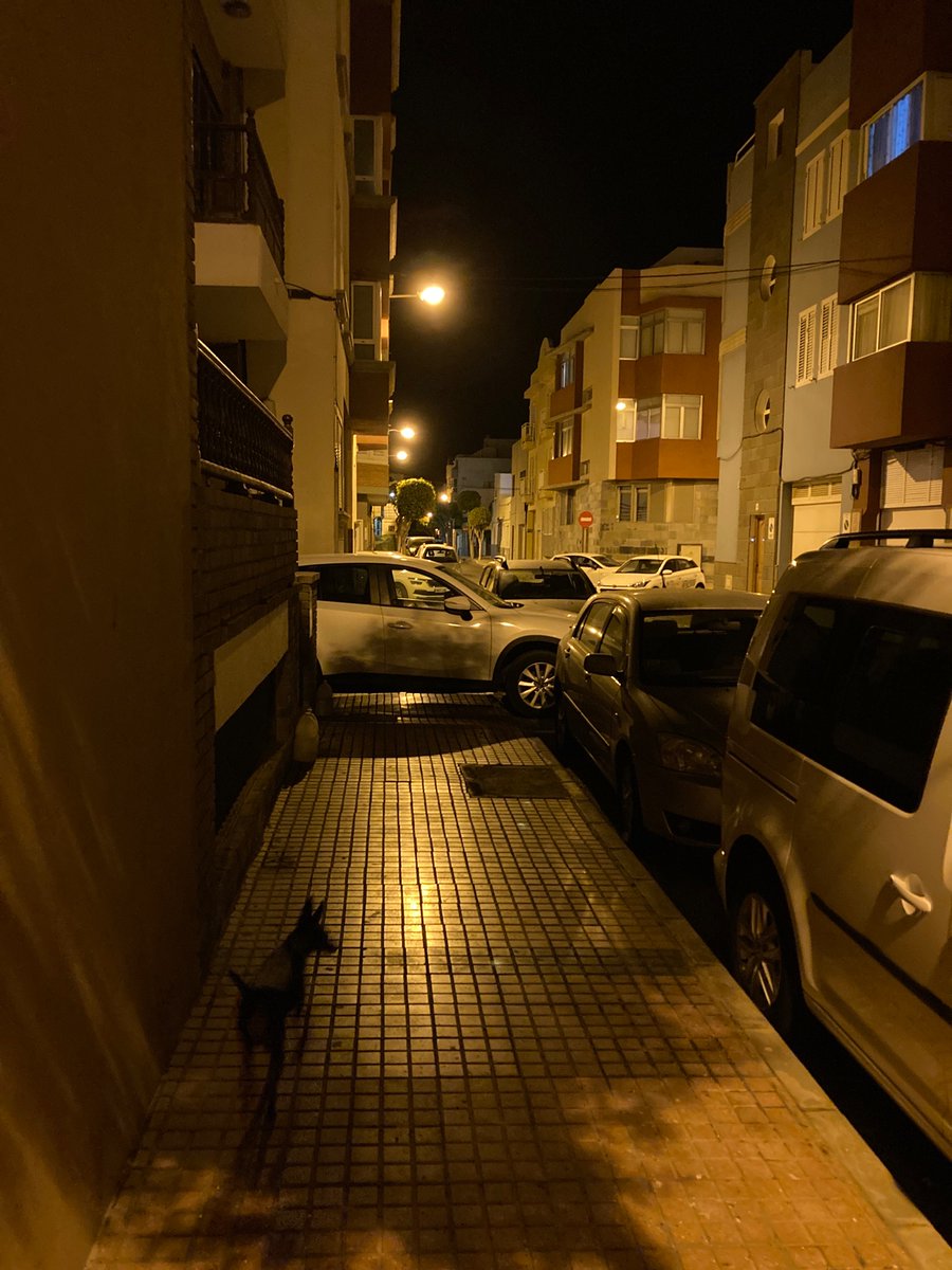 BBQLUB's tweet photo. @Ayun_Telde tener que bajar de la acera todas las noches porque un vecino aparca atravesando el vehículo en la calle Juan Sebastián Elcano -Salinetas es cansino. Aún habiendo llamado varias veces a la policía siguen sin hacer nada con este comportamiento incívico. @PoliciaTelde https://t.co/49fBqnpRxr