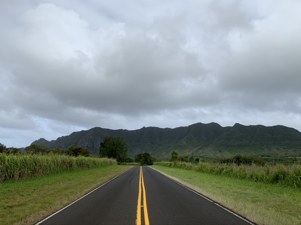 funlocity's tweet photo. It's not about the journey, it's about the destination. β¨β¨ππ€π»
#funlocity #hawaii #hawaiilife #honolulu #aloha #beach #city #alohaspirit #islandlife #explorehawaii #fun #hawaiibeach #kauai #kauainature #oahu #local808 #hawaiianislands #luckywelivehawaii #nature https://t.co/91bEyFDVv4