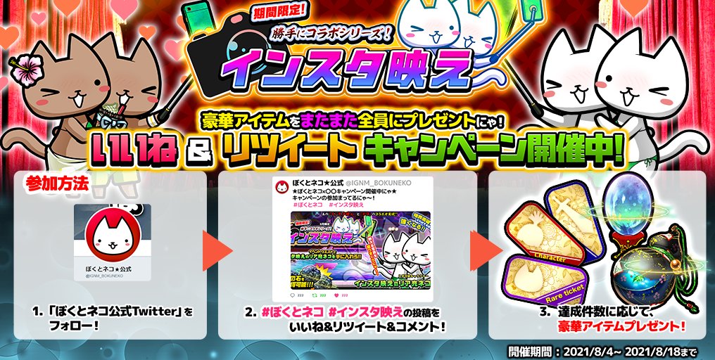 ぼくとネコ 公式 Ignm Bokuneko Twitter ぼくとネコ 公式 Ignm Bokuneko Twitter