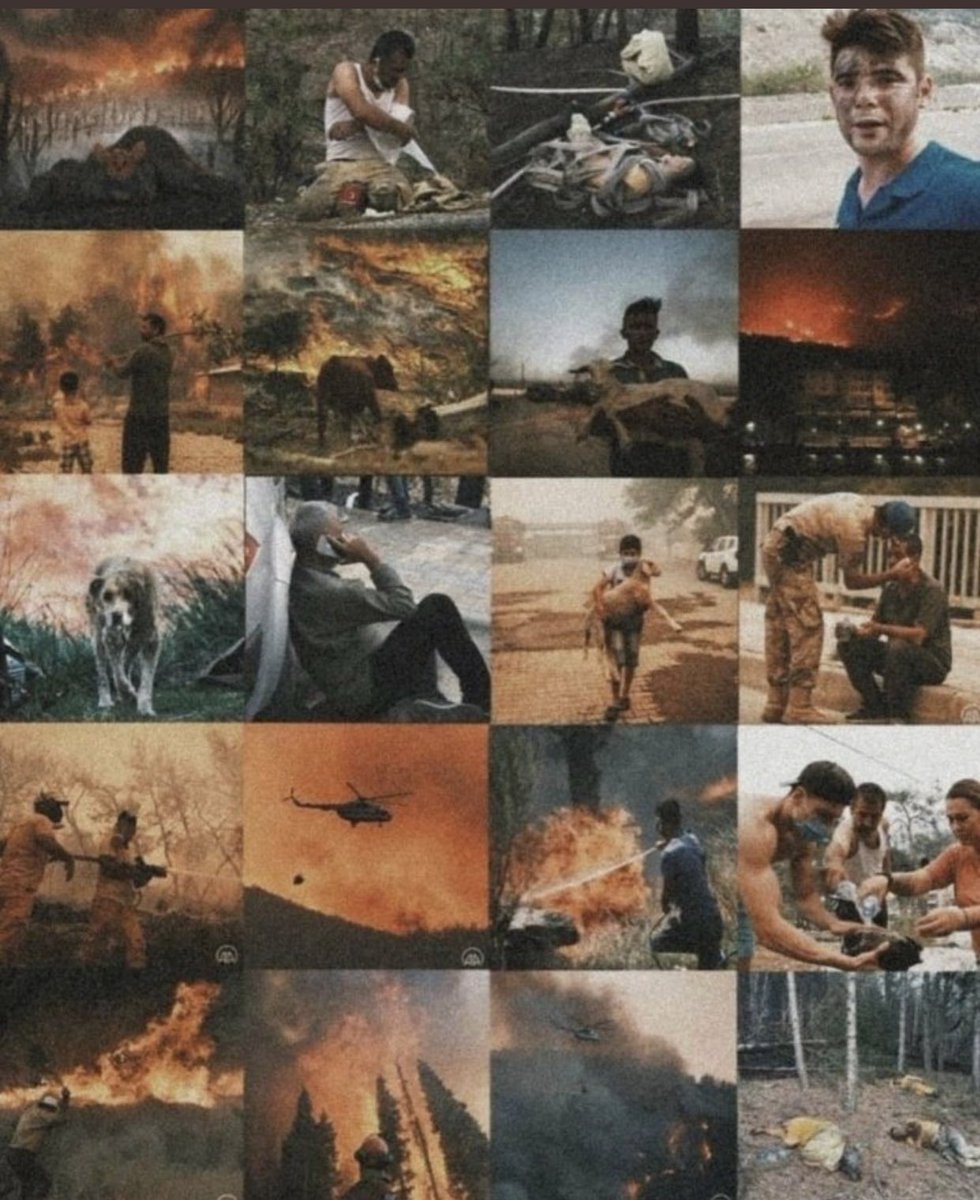 Şu fotoğrafı görüpte içi acımayan yoktur… Yardımın kimden geldiği önemli değil, bizim tek istediğimiz yangınların bir an önce sönmesi, daha fazla canlı zarar görmeden, insanlar evsiz kalmadan bitsin istiyoruz. Olayı farklı yerlere çekmeye hiç gerek yok #helpturkey