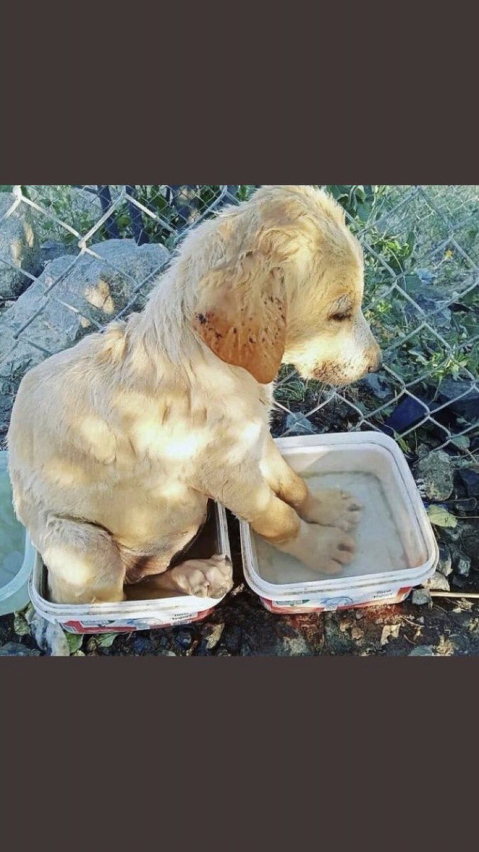 ne diyebilirim bilmiyorum 😭#helpturkey