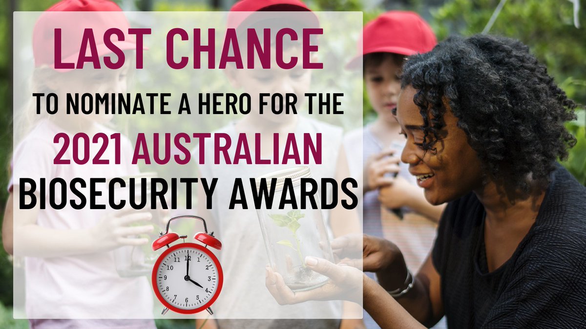 Last chance to nominate an Australian Biosecurity Award hero 🏆 - nominations close 5pm Fri 6 August. Help us to celebrate our #biosecurity champions – nominate today: awe.gov.au/aba | #AusBioAwards #ausbiosecurity