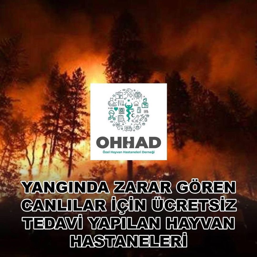 Aşağıda sıralı listesi bulunan hayvan hastaneleri Özel Hayvan Hastaneleri Derneği’ne (OHHAD) üyedir. Bu hayvan hastanelerinde yangından etkilenen hayvanlar ücretsiz olarak tedavi edilecektir. #helpturkey