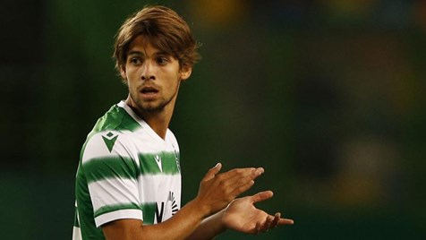 mundodeumleao's tweet photo. @AntSalvador1893 @FutebolSentido #ComeToSporting https://t.co/ZOvDvtDe8i