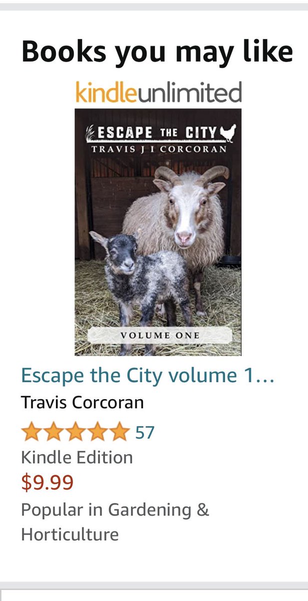 escape the city book