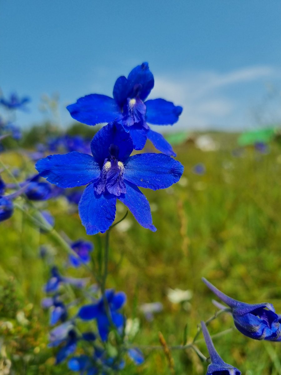 Өглөөний мэнд..