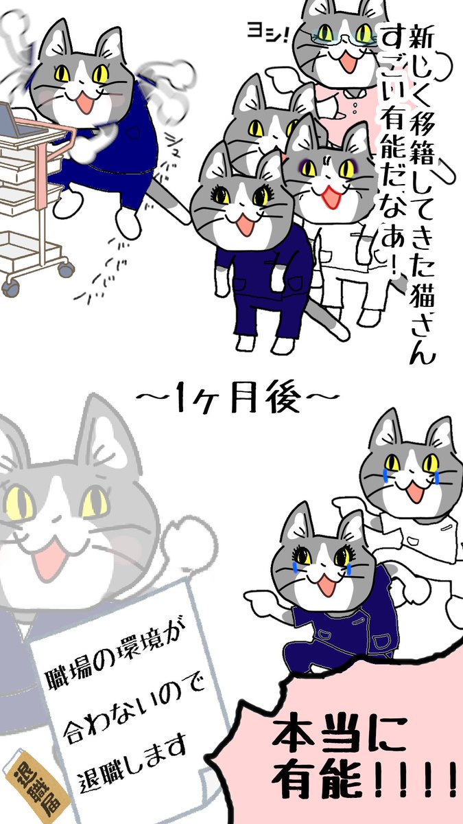 #現場猫 #看護師
貴院の今後のご活躍をお祈りいたします! 