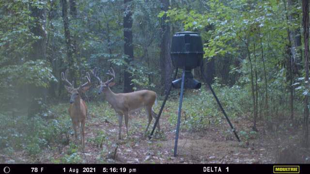 #moultriemobile #deltacam #moultriefeeders