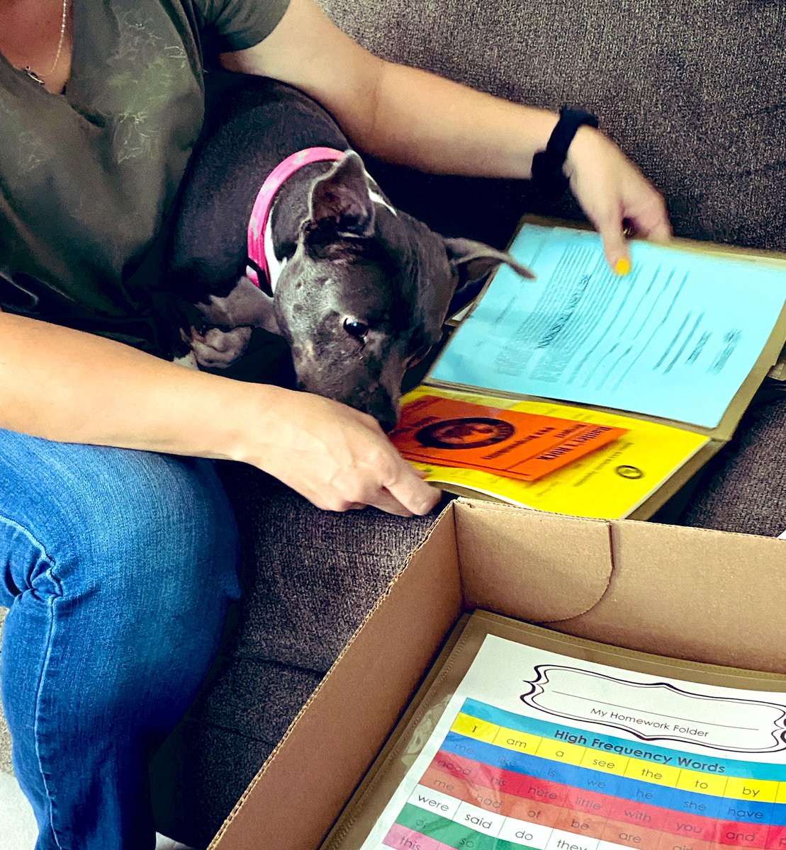 kinder_ph's tweet image. This is what teachers really do the night before school starts! #FirstDayOfK #PaseoHills #RemarkableRattlers @PaseoRattlers @PrincipalJHood @DVUSD @DrFinchDVUSD @JenArrieta8