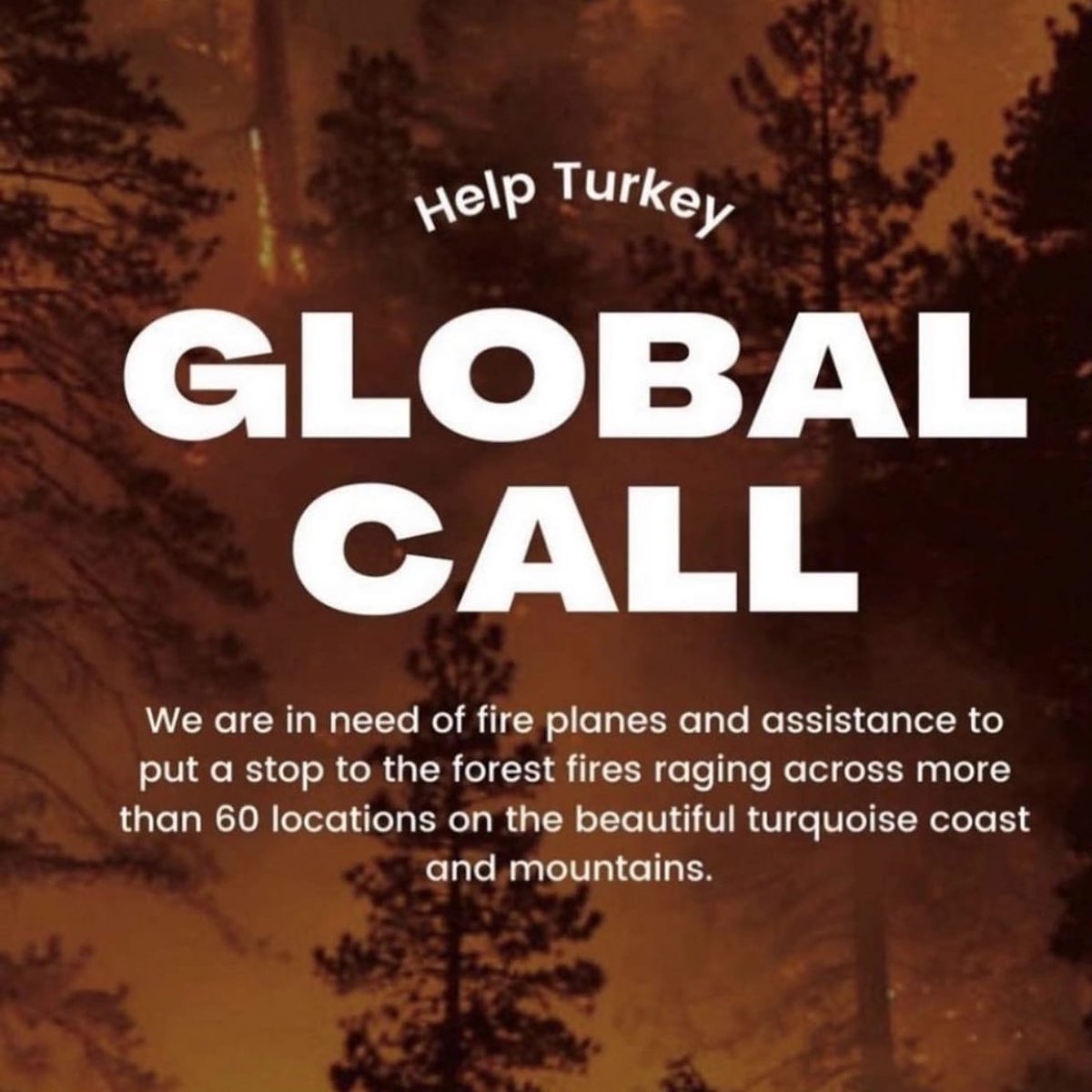 A Turquia está pegando fogo, pessoas e animais estão feridos.
Antes de ir embora, vamos deixar nossas orações para que isso tudo seja controlado e que as autoridades e os grandes chefes de estado ajudem nessa causa que é de todos. #helpturkey #turkiyeyaniyor #Turkeyisburning