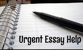 cepribresearch's tweet image. HMU for help in
@cepribwriters
#Writeessays
Sociology
Thesis
English
#Pay exam
assignment
Homework due
#stats
Term paper
PHYSICS
#Research paper
chemistry
project
history 
#WomenWhoCode
#Online class
#100DaysOfCode
#NodeJS
#code