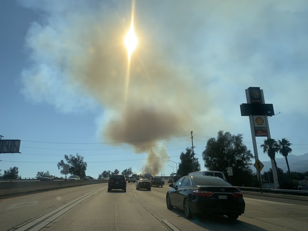 Esther Tanaka tweet media