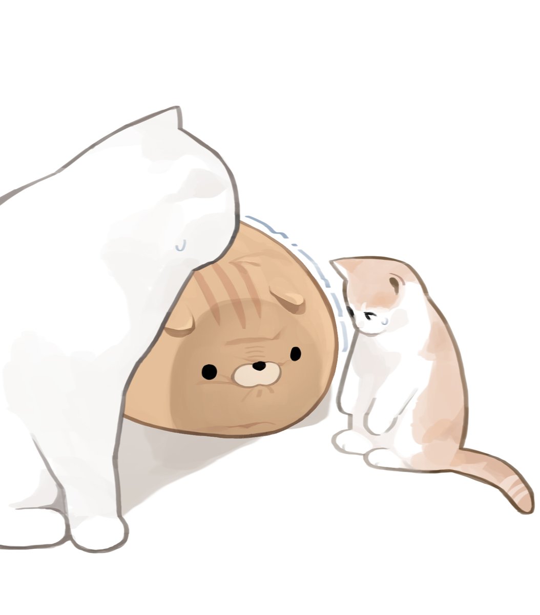 GENTLECAT tweet media