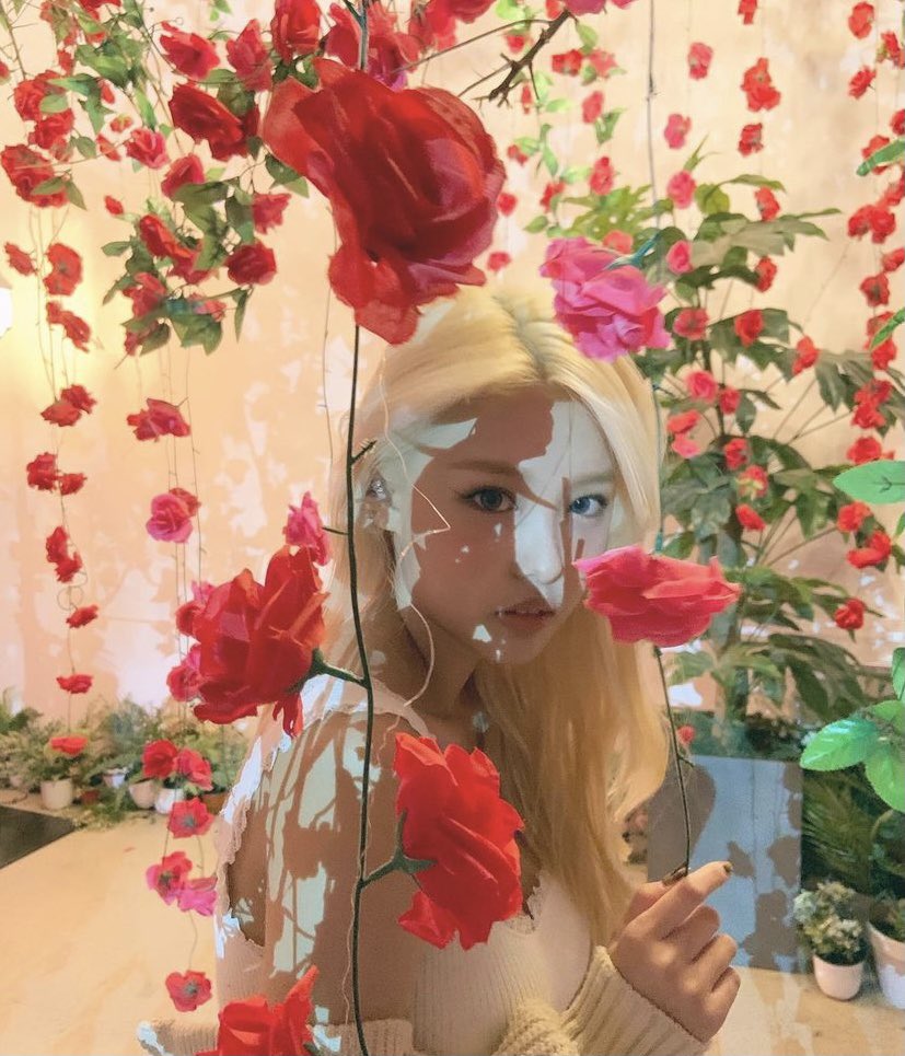 kknifeplay's tweet photo. ᅠ 
ᅠ 
ᅠ   
ᅠ    
ᅠᅠᅠ 
ᅠ                   among the roses🌹
ᅠᅠ 
ᅠ 
ᅠ   
ᅠ https://t.co/AJOlI17udh