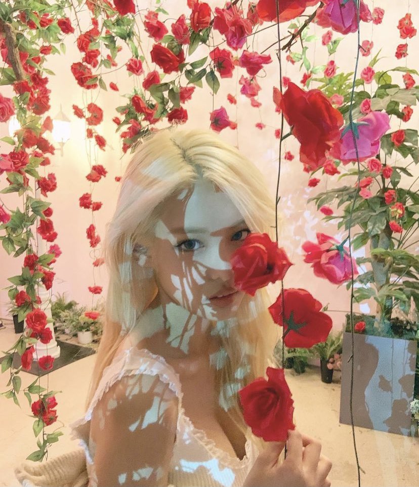 kknifeplay's tweet photo. ᅠ 
ᅠ 
ᅠ   
ᅠ    
ᅠᅠᅠ 
ᅠ                   among the roses🌹
ᅠᅠ 
ᅠ 
ᅠ   
ᅠ https://t.co/AJOlI17udh