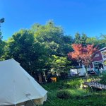 ツイートに含まれる画像