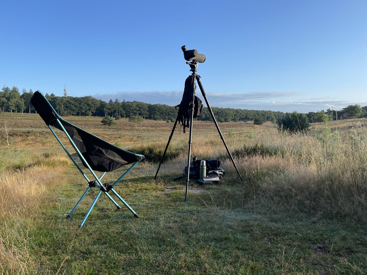 Mooi begin van de dag #trektellen #vogeltrek