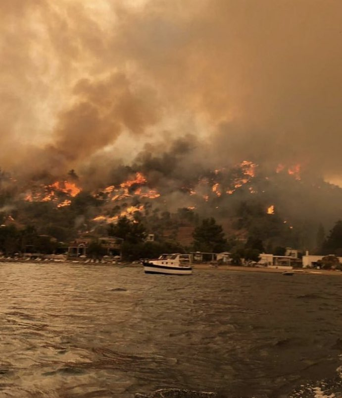 ArchetypeSarah's tweet photo. I have no words 💔
#PrayForTurkey 🙏 #HelpTurkey
#PrayForYakutia 🙏 #HelpYakutia
#PrayForLebanon 🙏 #HelpLebanon
#PrayForGreece 🙏 #HelpGreece
#PrayforAlbania 🙏 #HelpAlbania
#PrayForItaly 🙏 #HelpItaly
#PrayForTheWorld 🙏 https://t.co/4nL478UWRD