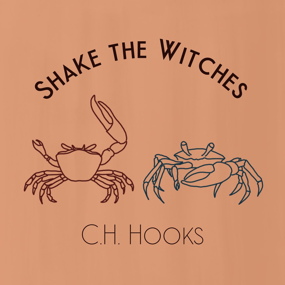 "I mapped the flats and the rice canals, and knew the alligators by their stripes and patterns, the dots of their eyes. I knew he was in there, in the river or the marsh, and I wanted a last word with him."

“Shake the Witches” | <a href="/ch_hooks/">CH Hooks</a>
losangelesreview.org/shake-witches-…

#LARfiction