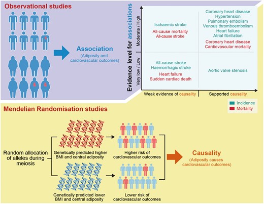 EHJ Editor-in-Chief (@ehj_ed) on Twitter photo Association between adiposity and cardiovascular outcomes: an umbrella review and meta-analysis of observational and Mendelian randomization studies. Discover more in EHJ! ow.ly/SxXY50FHUSS
#CVD #CAD #stroke #adiposity #metaanalysis #cardiotwitter <a href="/escardio/">European Society of Cardiology</a> <a href="/ESC_Journals/">European Society of Cardiology Journals</a> Association between adiposity and cardiovascular outcomes: an umbrella review and meta-analysis of observational and Mendelian randomization studies. Discover more in EHJ! ow.ly/SxXY50FHUSS
#CVD #CAD #stroke #adiposity #metaanalysis #cardiotwitter <a href="/escardio/">European Society of Cardiology</a> <a href="/ESC_Journals/">European Society of Cardiology Journals</a>