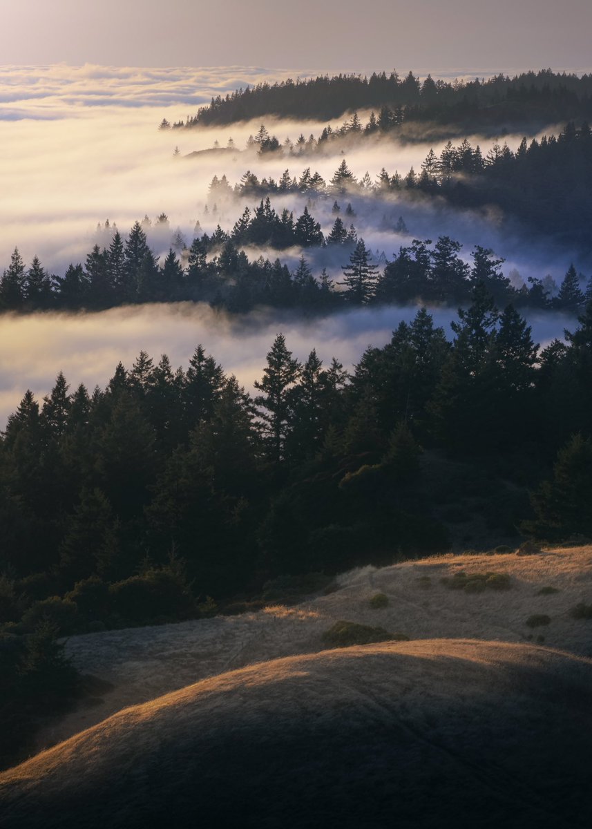 #mttam doing its thing…
•
#SaturdayVibes #weekendvibes #karlthefog #fog #marin #marinheadlands #canonphotography #sunsetphotography #summertime #NaturePhotography #bayarea #treesome #California #californialove #outdoorfun #hikingadventures