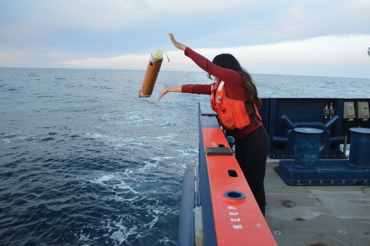 calcofi's tweet photo. Josh and Celest deploying sonobuoys before stopping at a #CalCOFI station!
And Josh watching the echogram to detect which #MarineMammals are nearby based off the frequencies they produce π¬π³
#cetaceans #marinescience #scrippsoceanography #sonobuoy #acoustics https://t.co/nzewNzbg4D