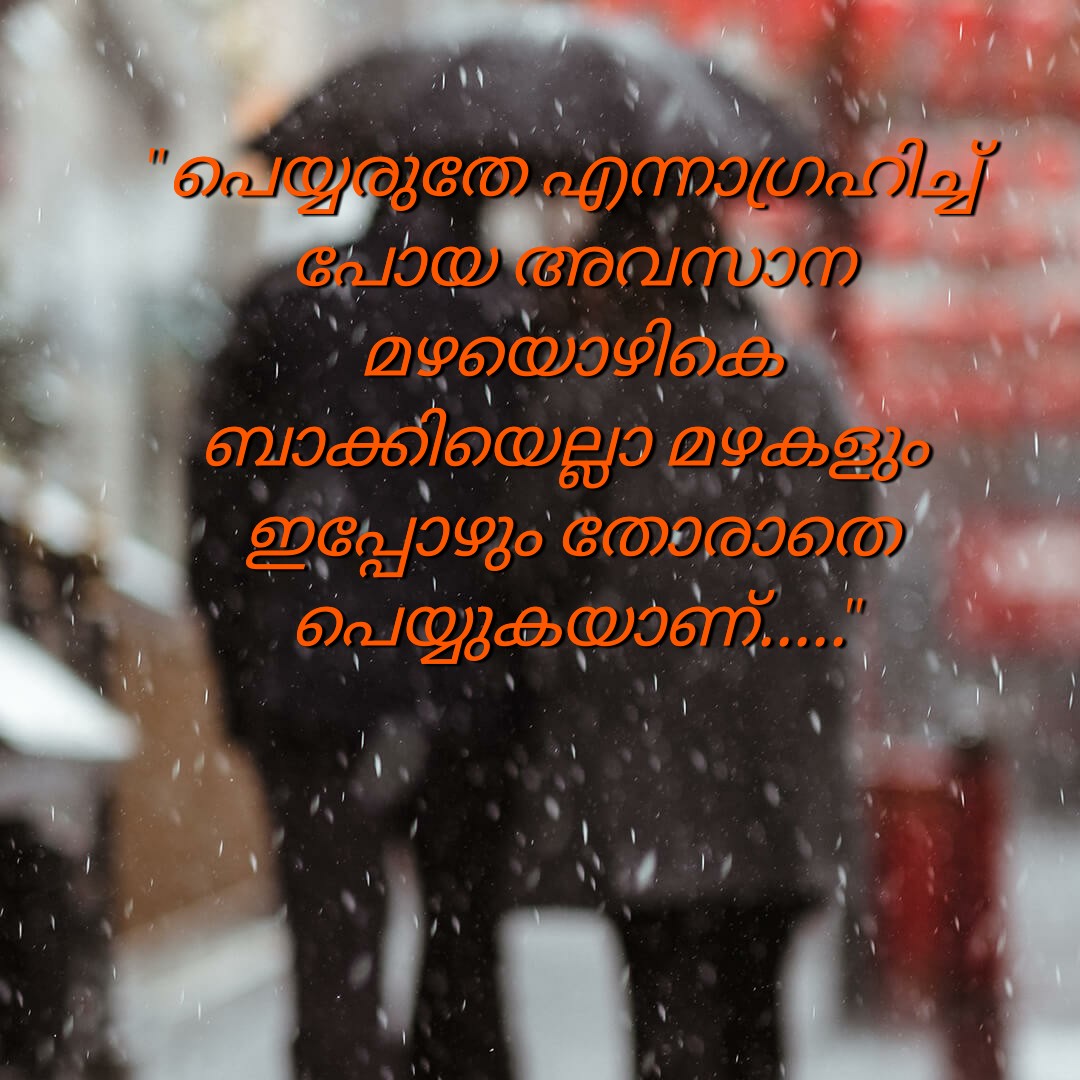 അപ്പൂട്ടൻ☺️ tweet media