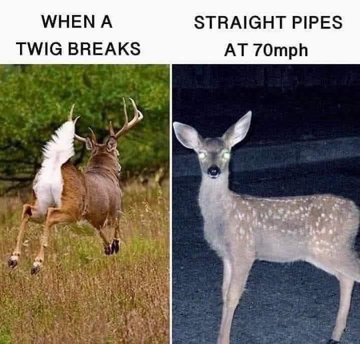 Hyperfest's tweet image. 🤣😂