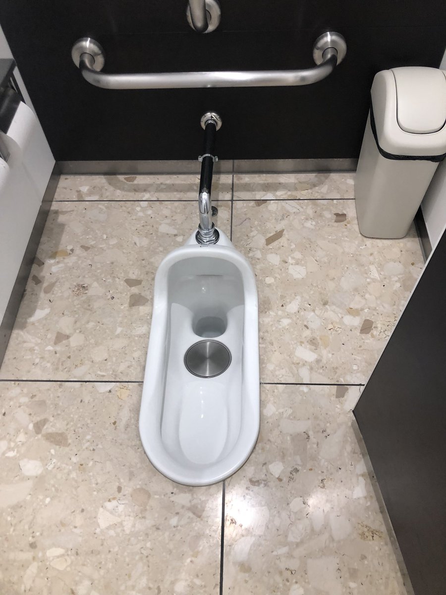 五輪取材の米記者が発見 見慣れないトイレに海外興味 足の筋肉が鍛えられそう The Answer