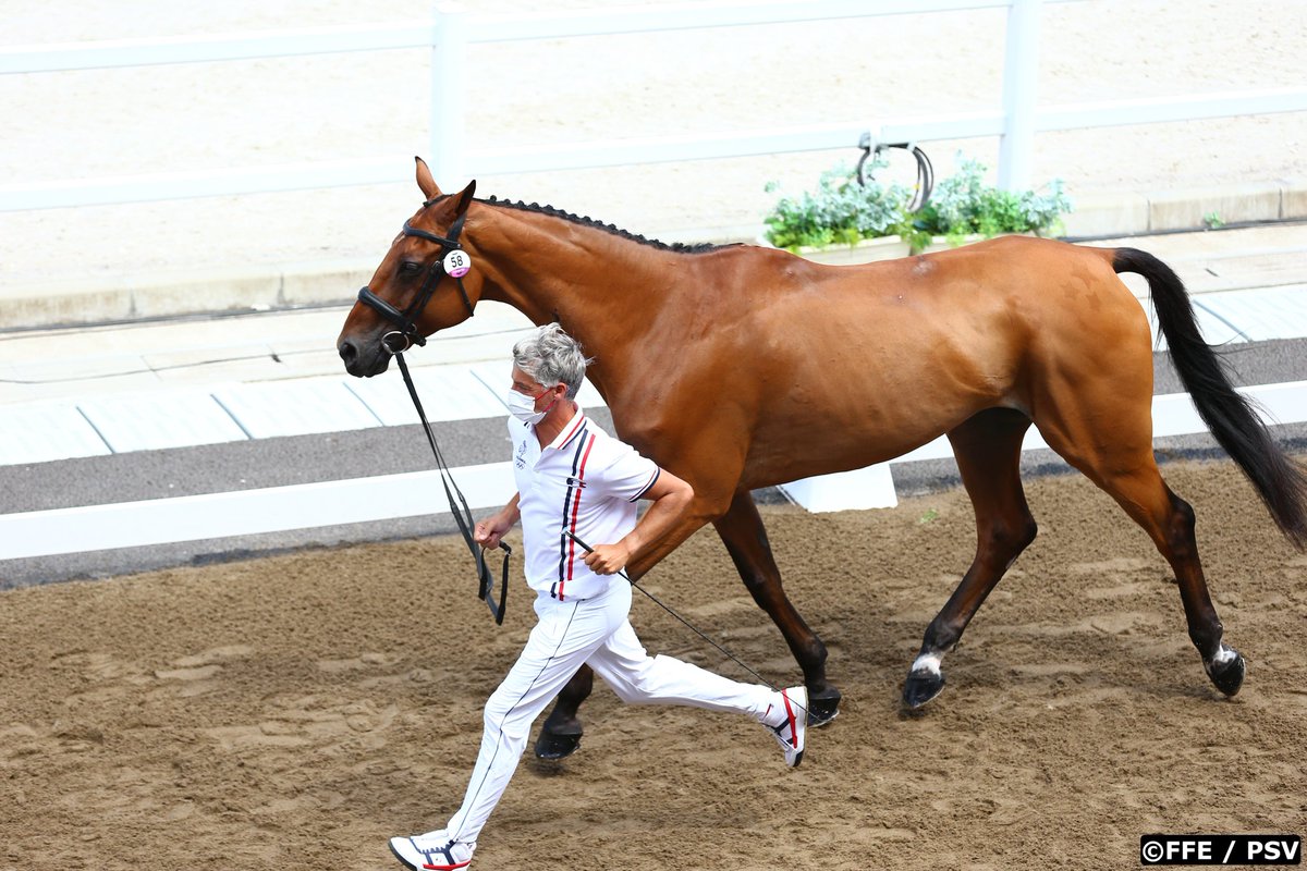 FRA_Equitation's tweet photo. #RideToTokyo Les 3 chevaux de l'équipe de France de concours complet viennent de passer la 2e inspection avec succès ! 🇫🇷👍
RDV à 10h (heure française) pour l'épreuve de saut d'obstacles. 🤞
Les Bleus, 3e au provisoire sont à moins d'1 pt de la médaille d'argent !
#Tokyo2020 https://t.co/pZx9ssLjM6