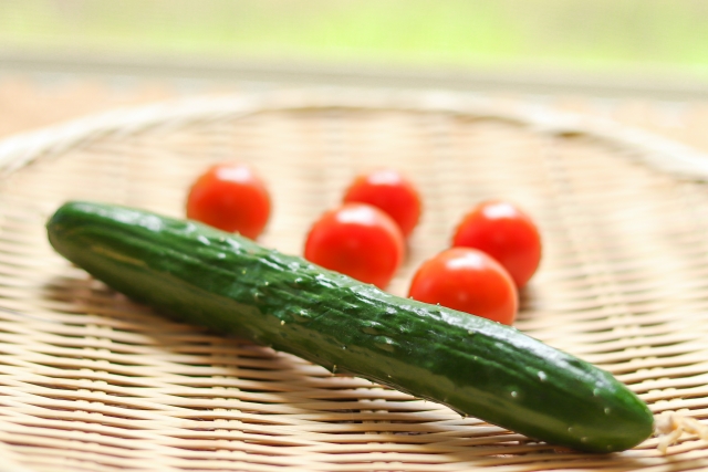 冬瓜のtwitterイラスト検索結果