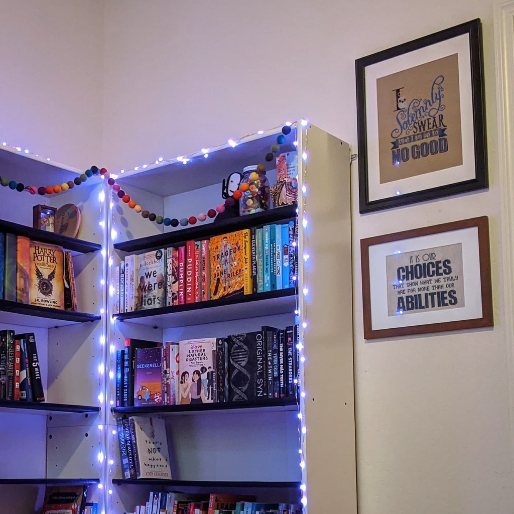 AnneAWelker's tweet photo. As an early birthday present to myself, I've been redecorating my personal library. And since I'll soon be a 30 year old human, you can bet I installed fairy lights! #noregrets https://t.co/jRW3hbPLt7 https://t.co/AOtTtf1nrn