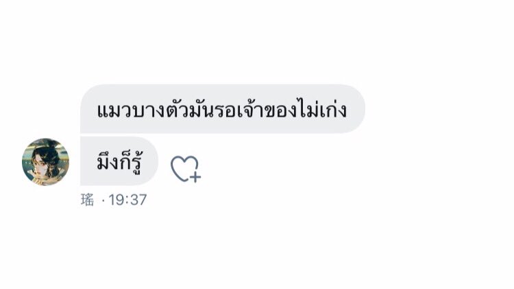 Terka tweet media