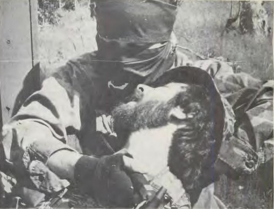 Vintage sentry removal. Always thought these scenes were cool.
#sentryremoval #stealthkill