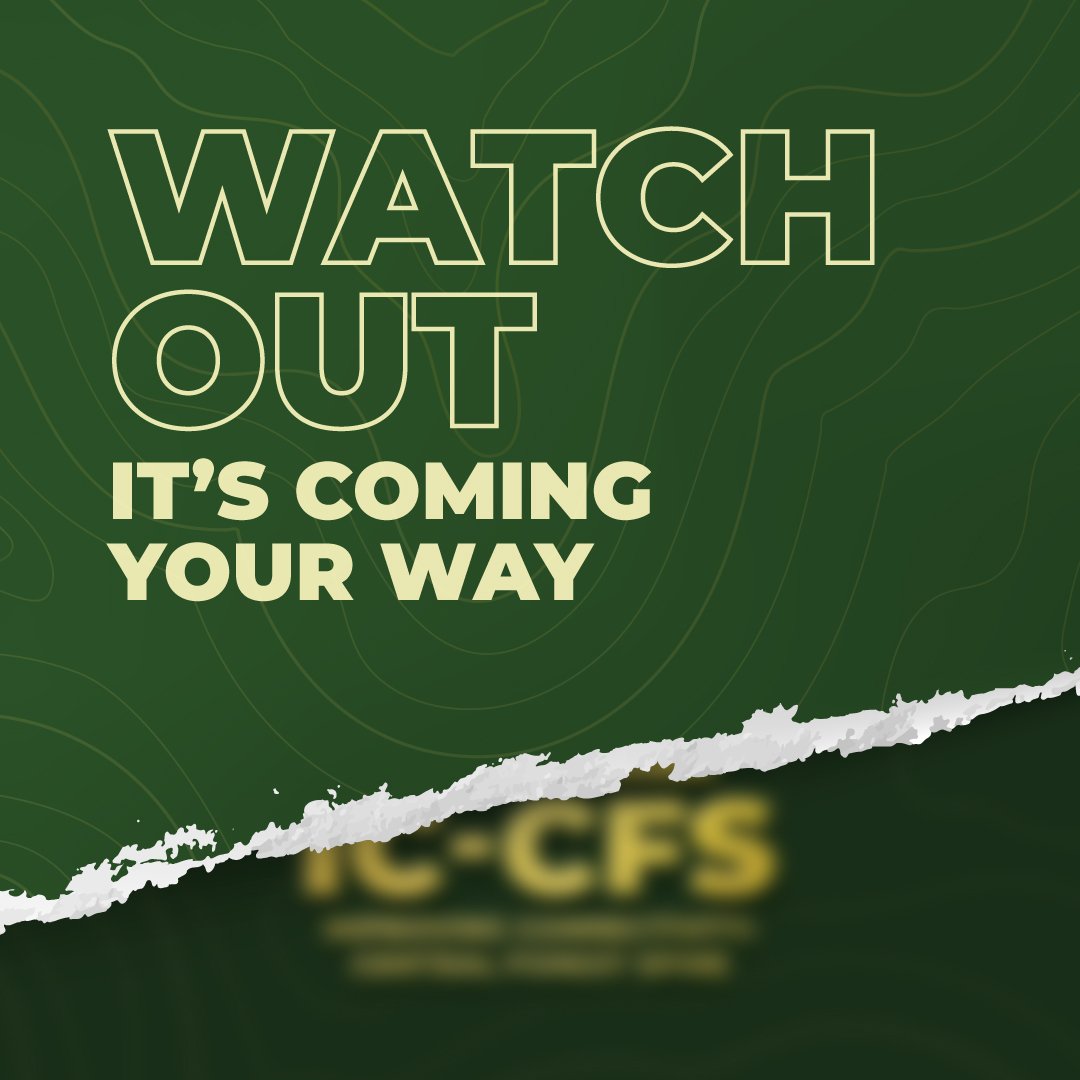 ICCFSMY's tweet photo. Stick to this space. Something might happen in a blink of an eye! #ICCFS https://t.co/qggdnY6qYM