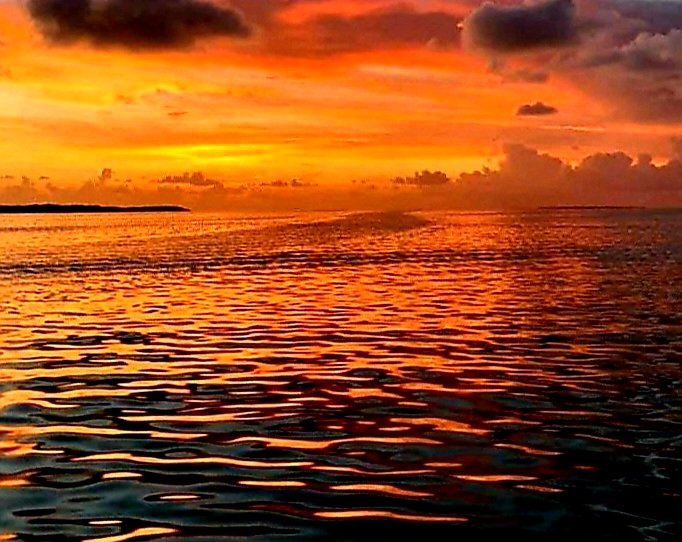 Capitaine_Jon's tweet image. Gone   🌆 
#celestialnavigation #marine #maritime #navigation #nature #night #nightsky #ocean #POTW 
#ThePhotoHour #sea #StormHour #ShareYourWeather #summer #travel #worldtraveler #weather #water #canadien #August #August1st #Sunday #evening