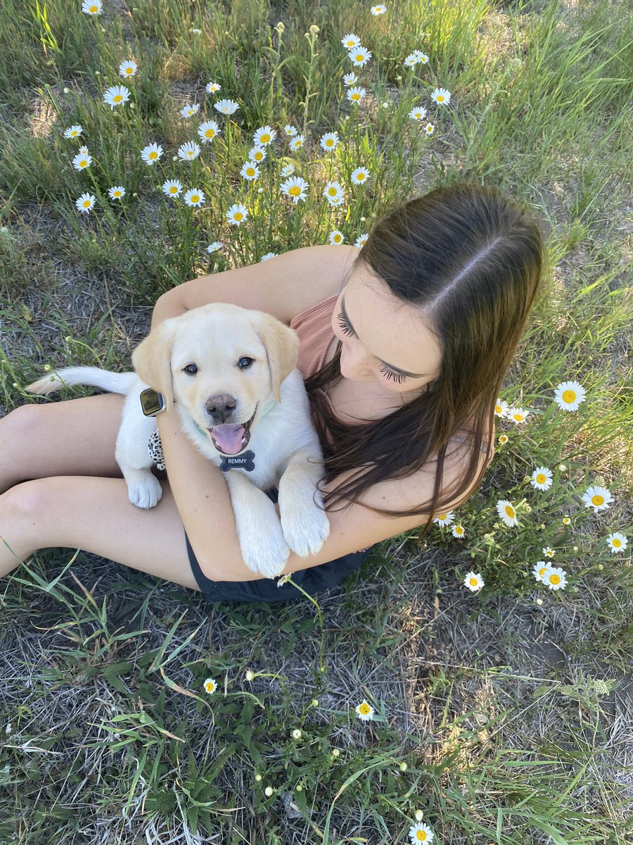 lexiibarth's tweet photo. Forgot to share on here I brought a puppy home 🙂 https://t.co/p5CiOn1TiS