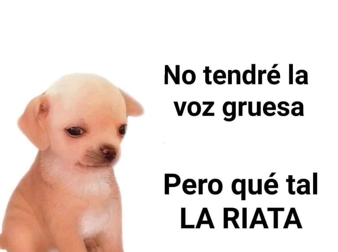 El Mala Copa (@elmalacopaa) on Twitter photo 