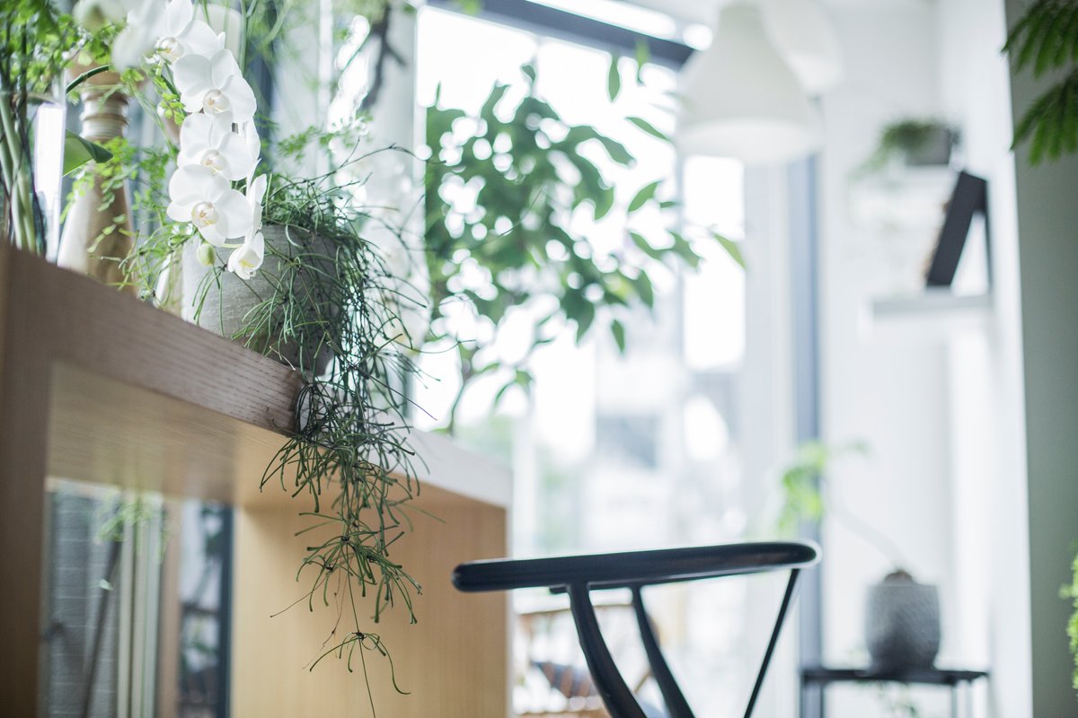 大塚智子 ジュールドゥ Jourdouxohtsuka Twitter