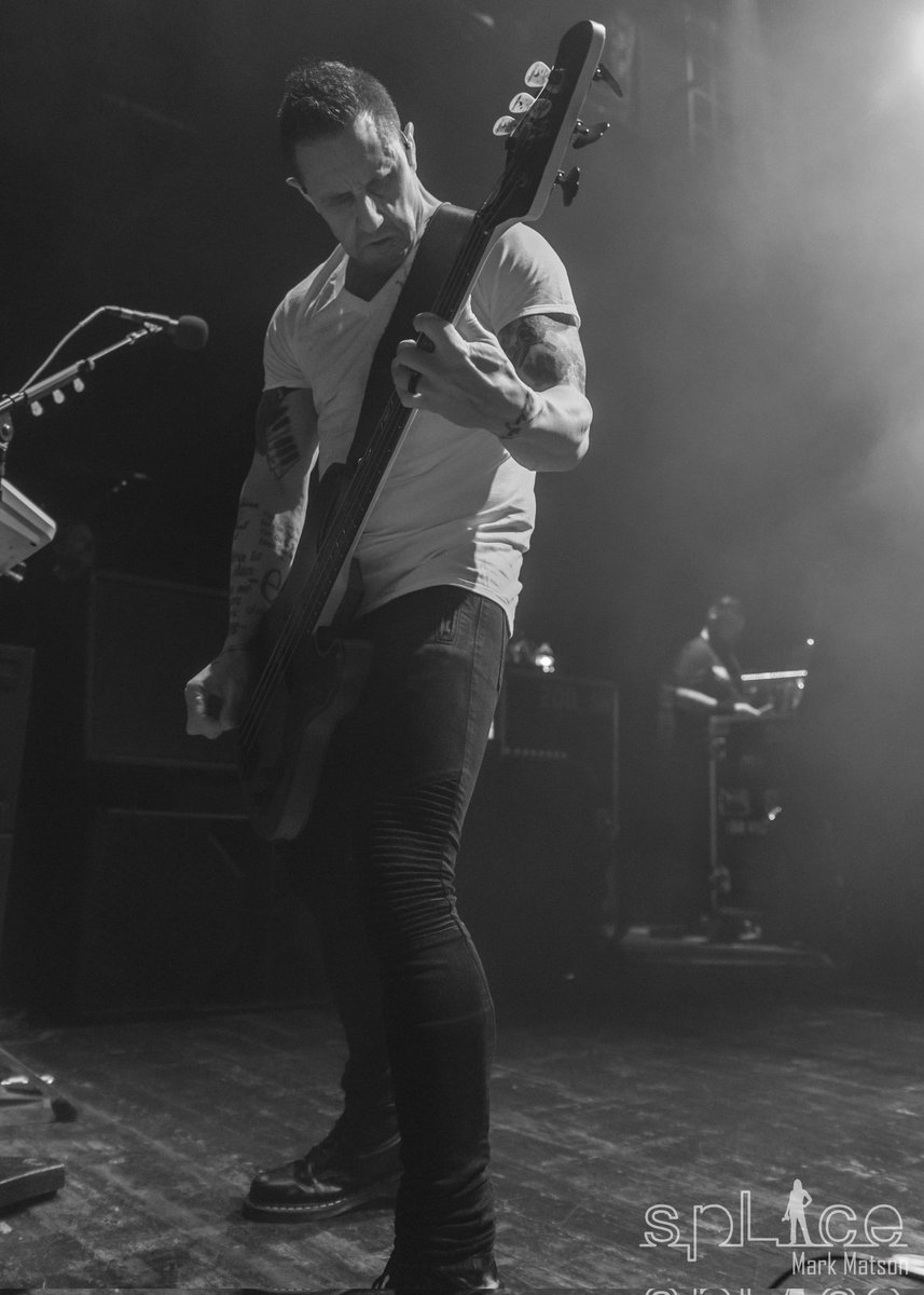 auld lang silent tweet media