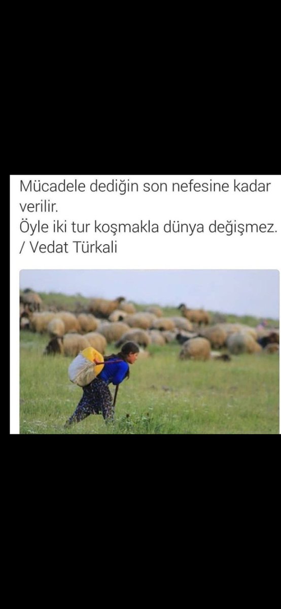 Günaydın