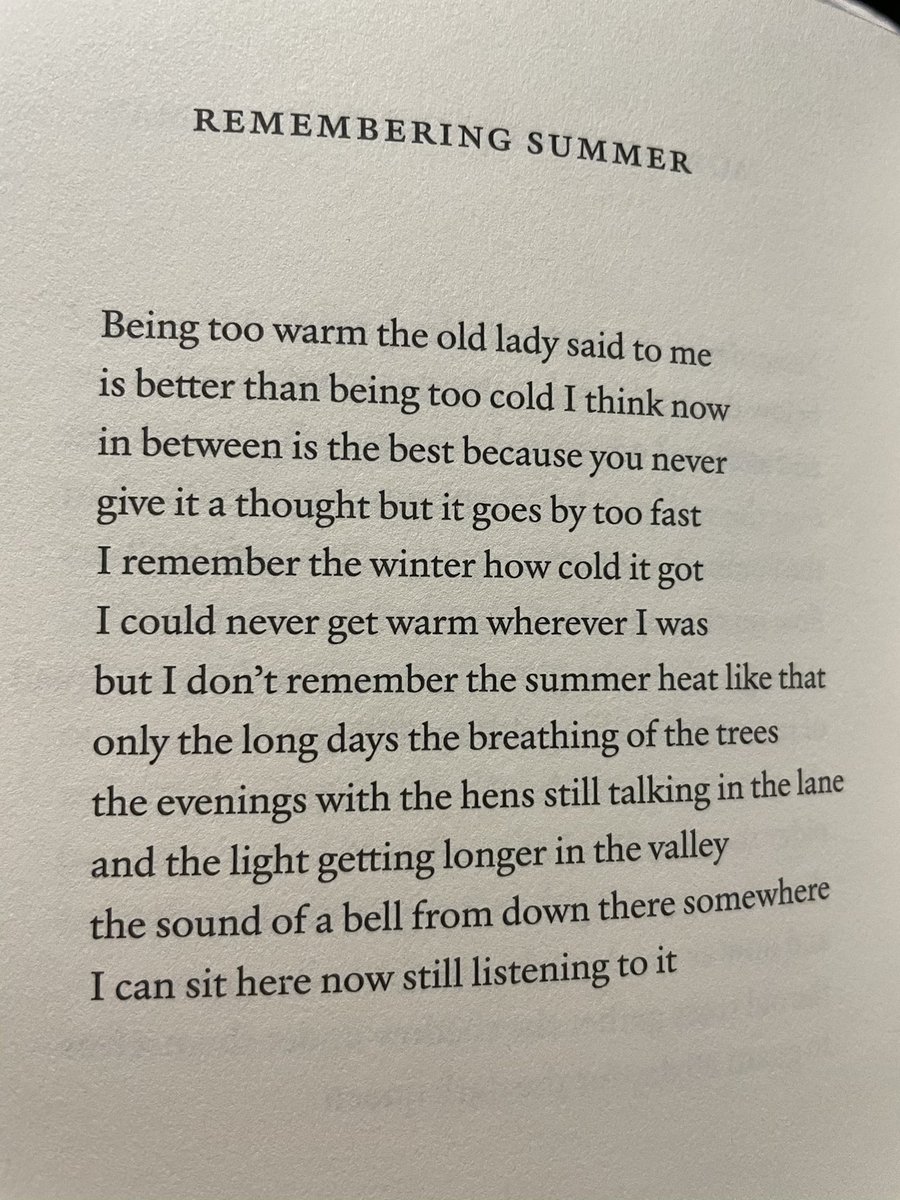 holdengraber's tweet image. REMEMBERING SUMMER
“but I don’t remember the summer heat like that
only the long days the breathing of the trees”
~ W. S. Merwin
from, “Garden Time”