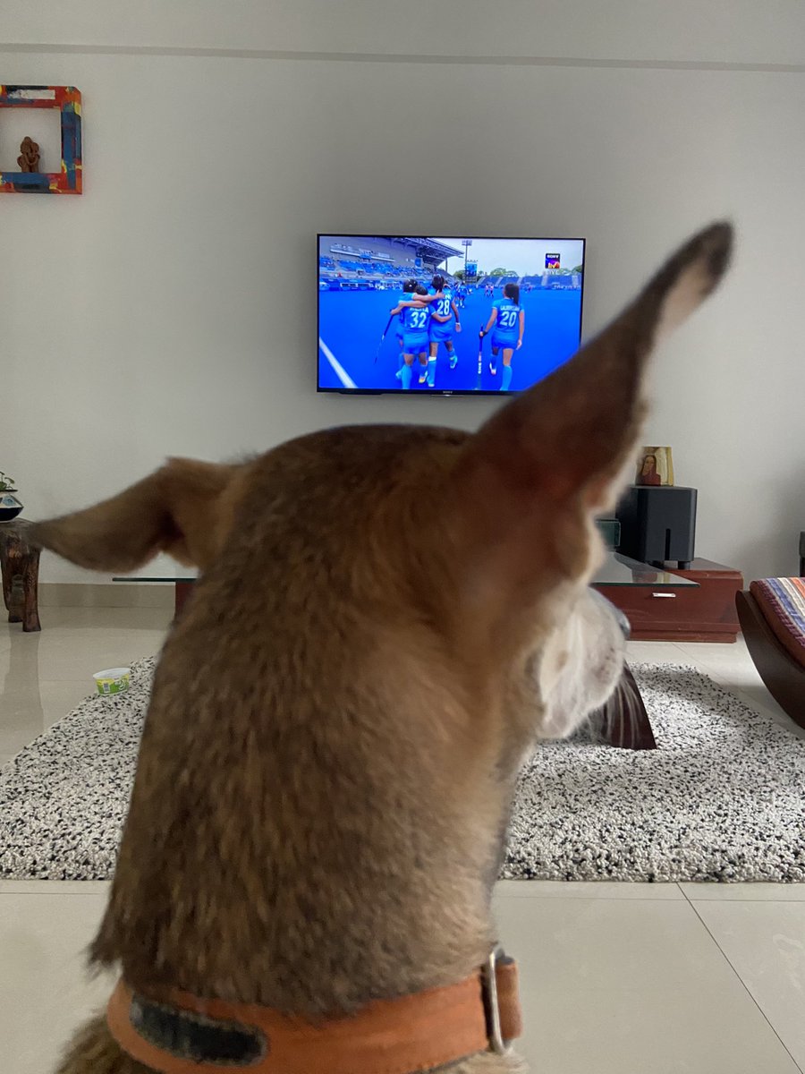 Magical Monday. Bella loves it. #indiawomenhockey #Olympics2021 #ChakDeIndia