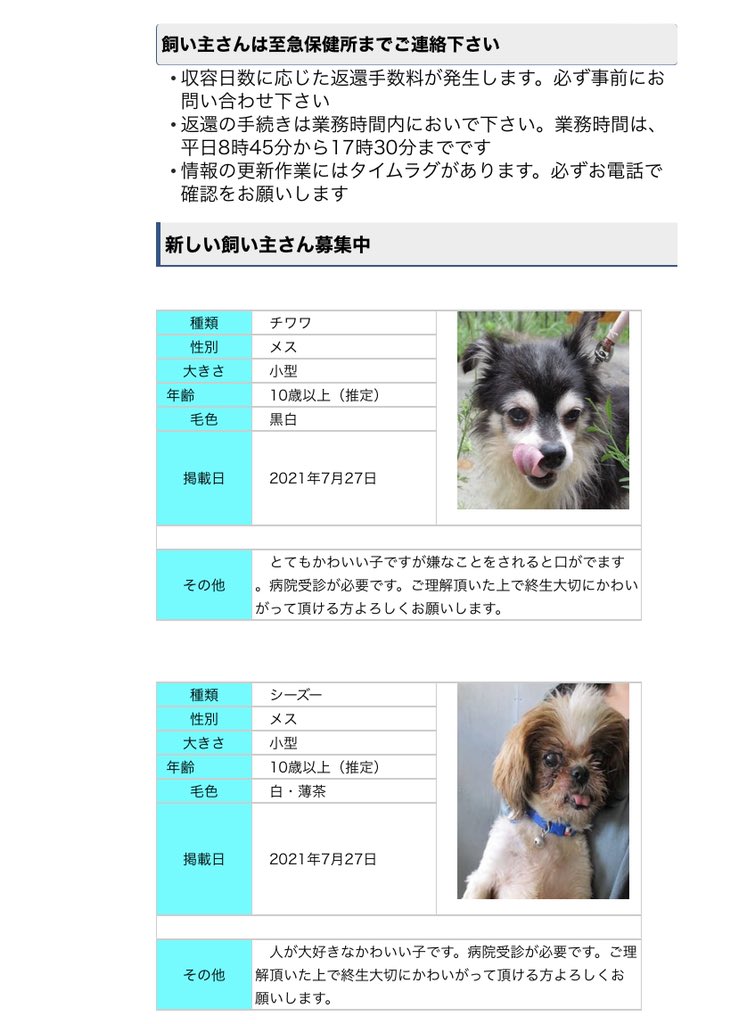 北海道 保健所 里親募集 苫小牧保健所さん この子だけになっていました 写真も追加されています 拡散希望 保健所 北海道 里親募集 苫小牧 犬の里親募集 T Co L0ddjvoxnv Twitter