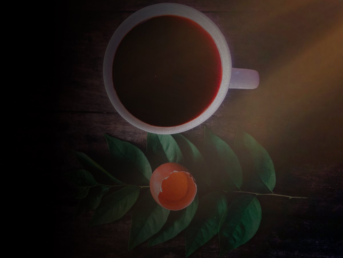 JayMOT79's tweet photo. The Power Of SunShine 
#powermonday #cyclingoftheday #photooftheday #eggcoffee #coffeeoftheday https://t.co/Qre25TTK3Q