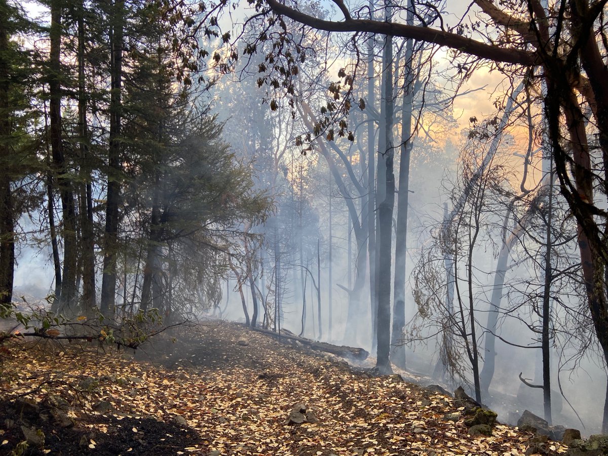 meganwillgoos's tweet photo. ODF Southwest District is responding to multiple fires and smoke investigations after lightning struck across the Rogue Valley earlier today. Here are a few pictures from ODF on the Anderson Butte Fire. We will be live with PIO Natalie Weber at 11 on @KTVL!🔥 #FirstAlertFire https://t.co/kzER2KKMD2