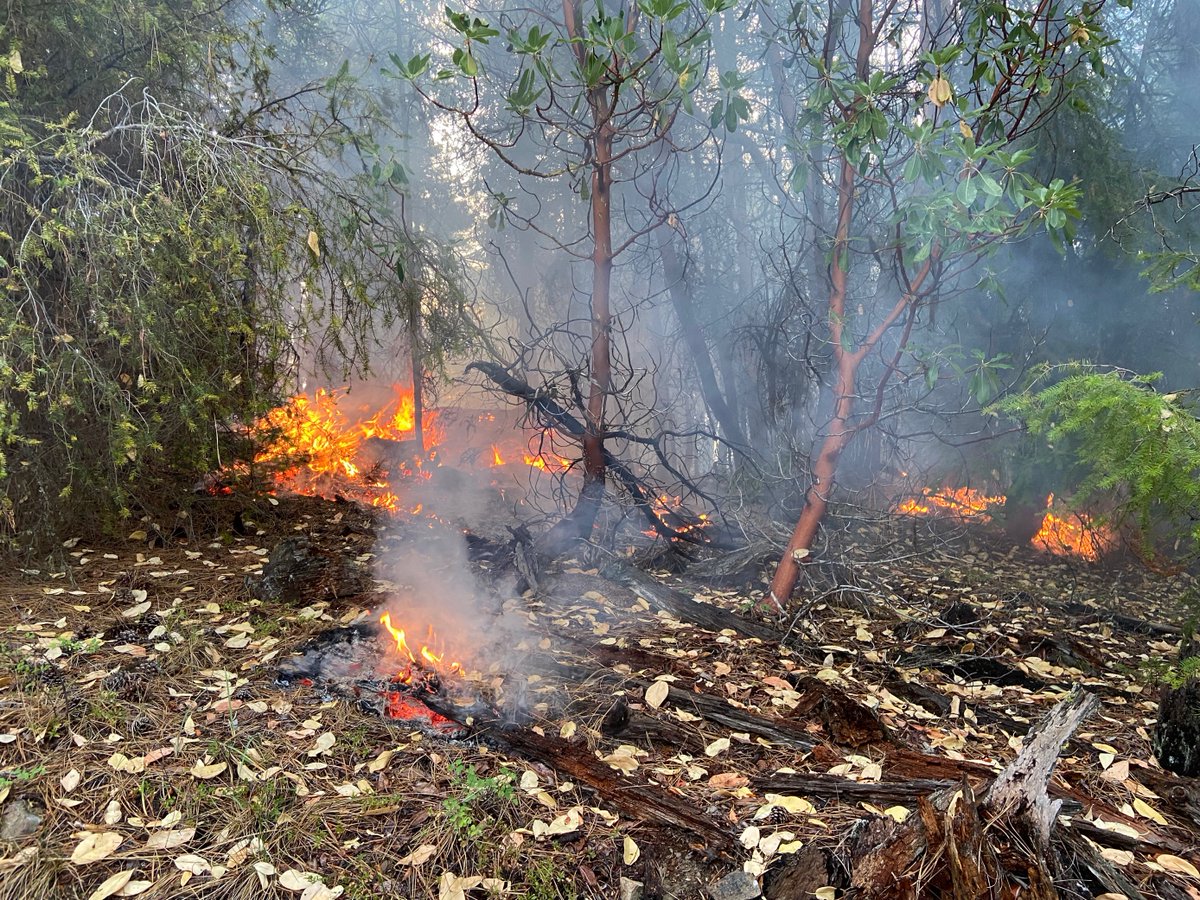 meganwillgoos's tweet photo. ODF Southwest District is responding to multiple fires and smoke investigations after lightning struck across the Rogue Valley earlier today. Here are a few pictures from ODF on the Anderson Butte Fire. We will be live with PIO Natalie Weber at 11 on @KTVL!🔥 #FirstAlertFire https://t.co/kzER2KKMD2