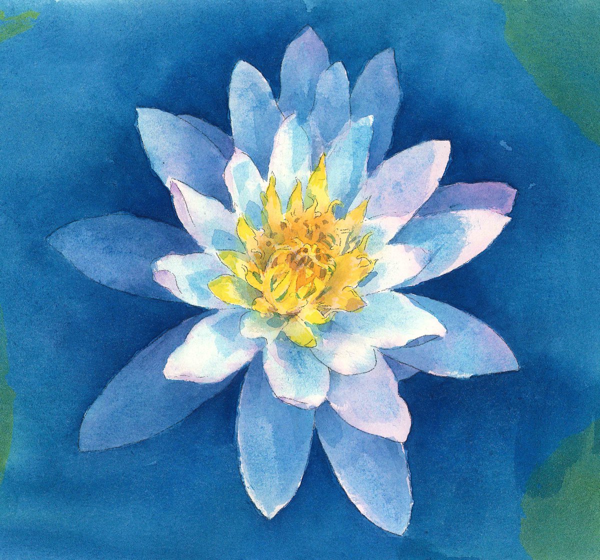 サクラアートサロン大阪 日曜画材研究の画材は コチラで全て準備しております 使用水彩絵具 は オランダロイヤルターレンス社 レンブラント の最高級絵具です 次回は 8月8日開催 静物画レッスン 赤の種類 トマト 8月22日開催は 植物画