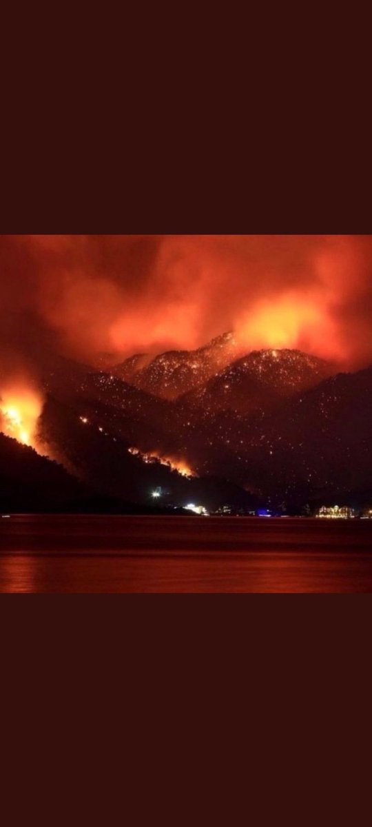 Daha fazla cana, canlıya zarar gelmeden bitsin artık. #helpturkey #CiğerlerimizYanıyor